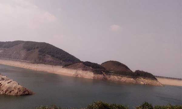 黑麋峰峰頂 綠樹蔥蔥，空氣都是甜的
