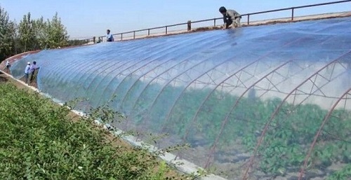 大棚吹膜用哪種增白劑？